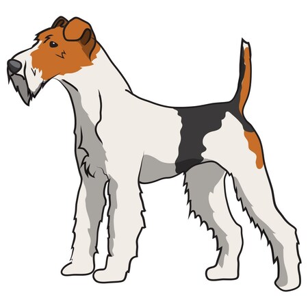 Signmission Wire Fox Terrier Dog Decal, Dog Lover Decor Vinyl Sticker D-12-Wire Fox Terrier